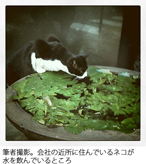 Instagram ʐ^5 MҎBeBЂ̋ߏɏZłlRłƂ