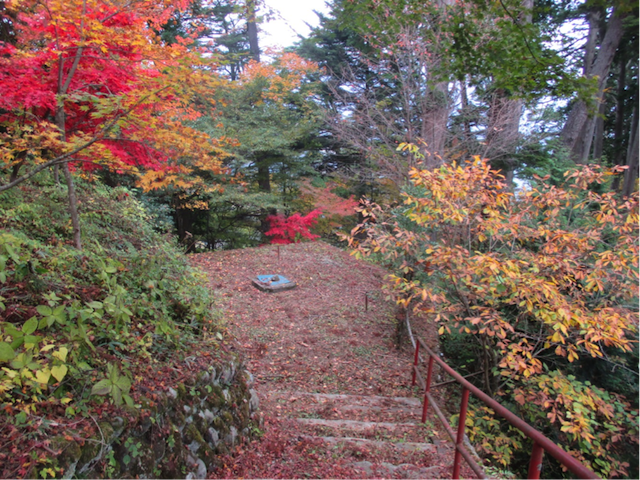 見事な紅葉（パワースポット）