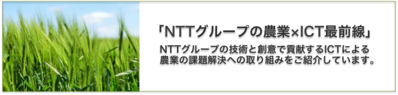 NTTグループの農業×ICT最前線