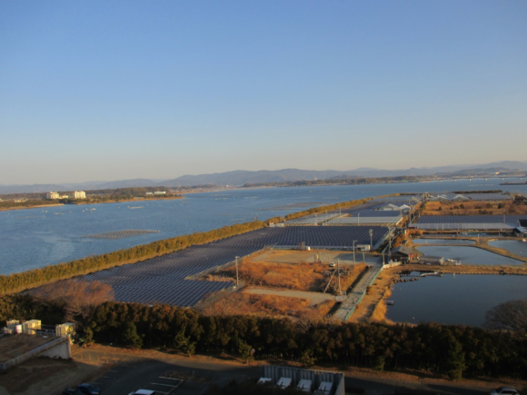 養鰻池に隣接する太陽光発電パネル