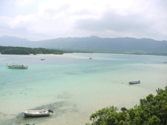 真珠の養殖場(石垣島)