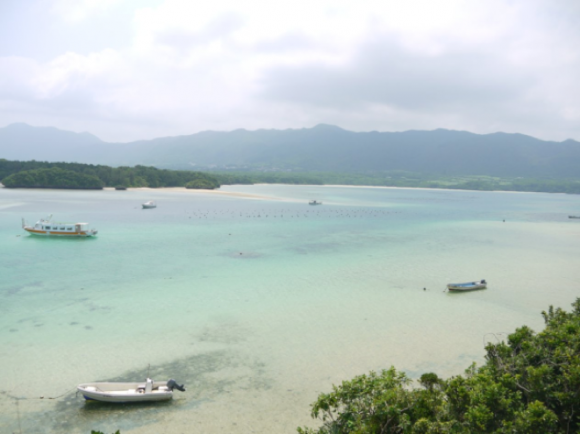 真珠の養殖場（石垣島）