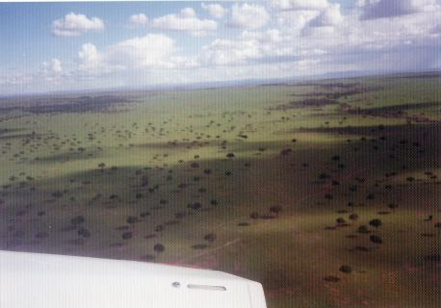 【写真2】上空から