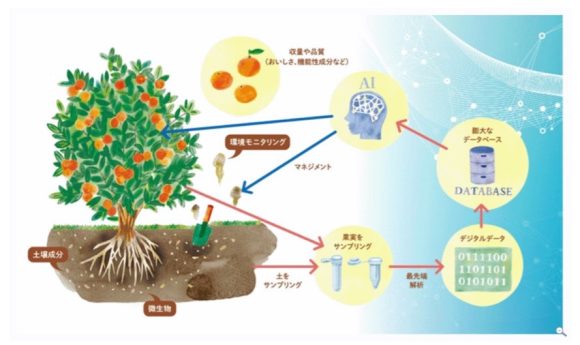【図3】農業生態系のデジタル化のイメージ