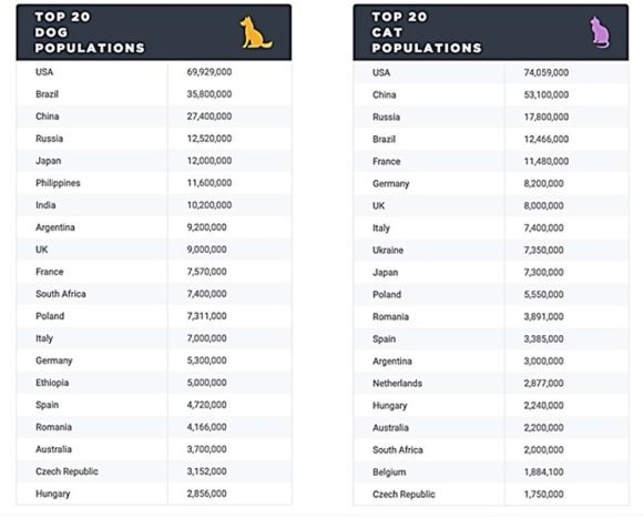 【図1】全世界の犬(左)と猫(右)の飼育頭数で上位20位にランクする国