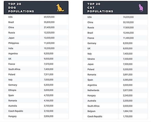 【図1】全世界の犬（左）と猫（右）の飼育頭数で上位20位にランクする国