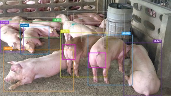 【図2】「Eco-Pork」の開発技術