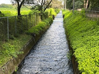 【写真5】那須疏水