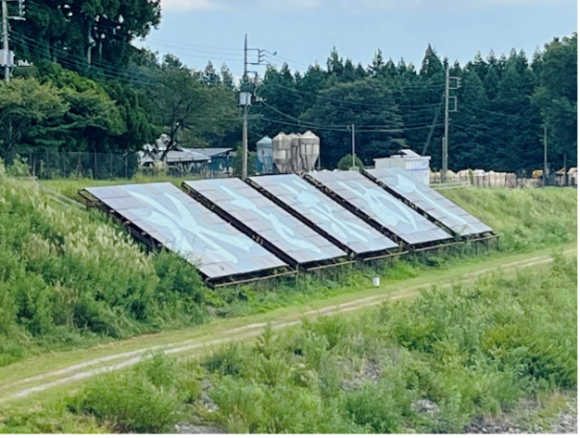 【写真6】戸田調整池