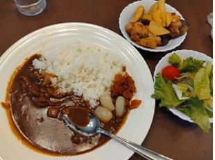 【写真7】那須山麓米のカレー・ 地元産野菜のサラダ