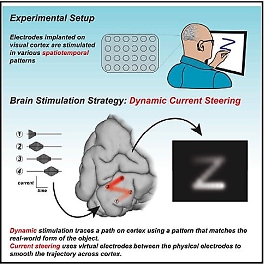 【図6】脳の視覚野へ電極による動的刺激を与える実験