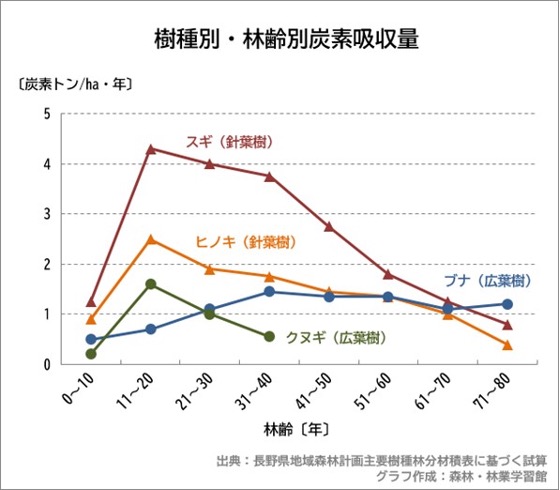 【図6】樹種別・林齢別炭素吸収量 （出典：森林・林業学習館　