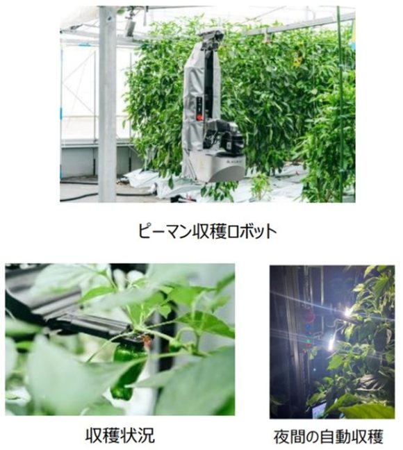 【図3】ピーマン自動収穫ロボット「L」<br />

