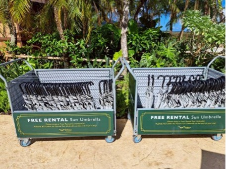 【写真4】必要な時に気軽に借りることができ、軽くて大きさも程よく、使い勝手がとても良い日傘