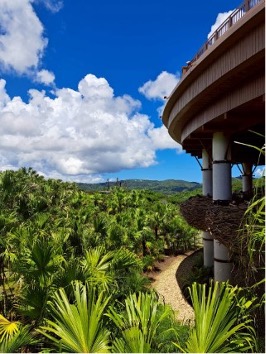 【写真9】パノラマダイニング　ネスト席