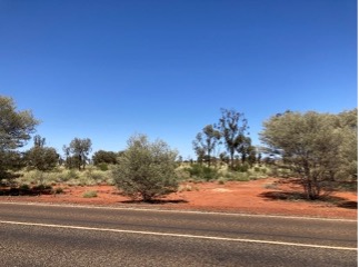【写真8】道路沿いの風景